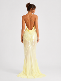 Sexy Sling Backless Slim Fit Sequin Fishtail Gown Long Dress